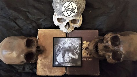 22365644_1909020509113113_5481346804905696663_n