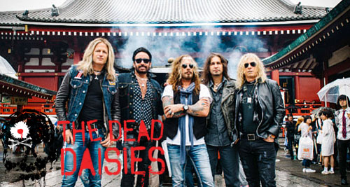 the_dead_daisies.jpg